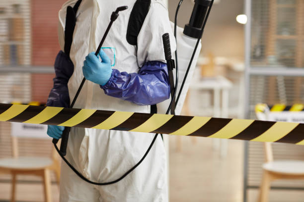 Professional Sewage Cleanup technician working in Mullica Hill, NJ